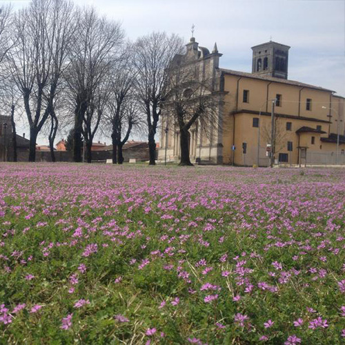 Chiesa Castello