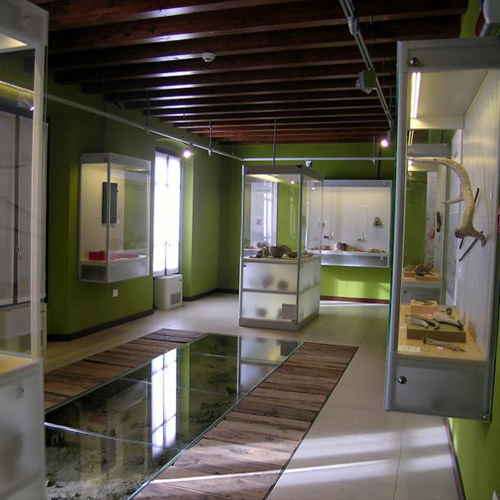 Museo Civico Archeologico