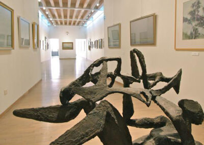 Museo Diotti