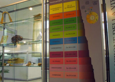 Museo Paleoantropologico del Po