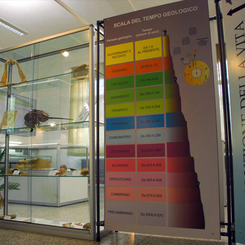 Museo Paleoantropologico del Po