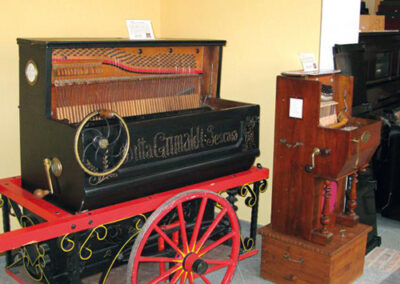 Museo degli strumenti musicali meccanici e Museo di Storia Naturale
