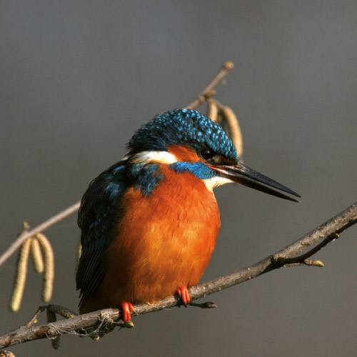 Natura e paesaggi