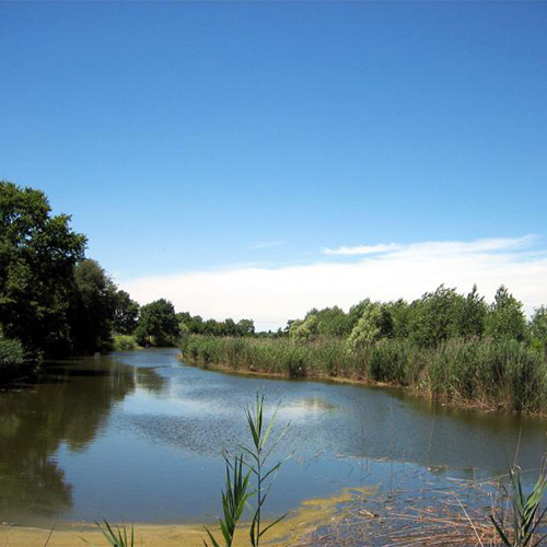 Canale Bogina