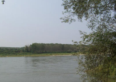 Parco Golena Po