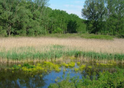 Riserva Naturale Le Bine – Oasi WWF