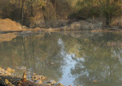 Riserva Naturale Garzaia di Pomponesco