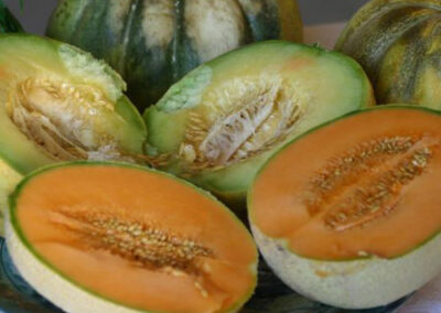 Melone Satta