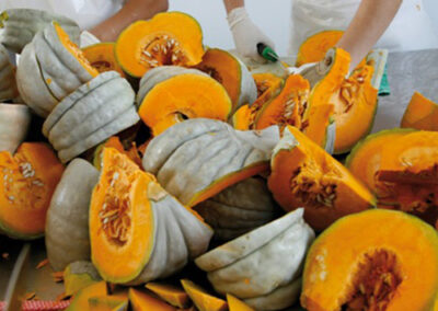 Zucca del basso mantovano e del casalasco