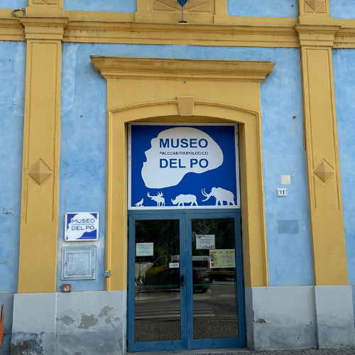 Ingresso San Daniele Po Museo Teatro Gonzaga Ostiano